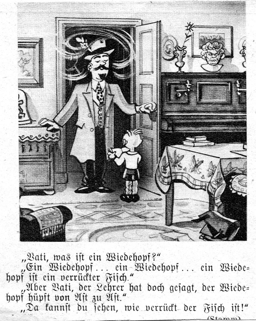 Wiedehopf-fisch Wiedehopf-fisch